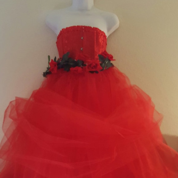 Victorian Inspired Valentine Rose Corset Ballgown Set